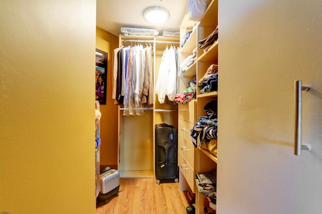 spacious closet featuring light hardwood / wood-style floors