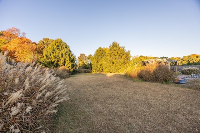 1981 Tuckahoe Rd, Upper Township, NJ 08270 - view of grassy yard