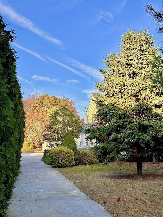 1981 Tuckahoe Rd, Upper Township, NJ 08270 - view of home's community