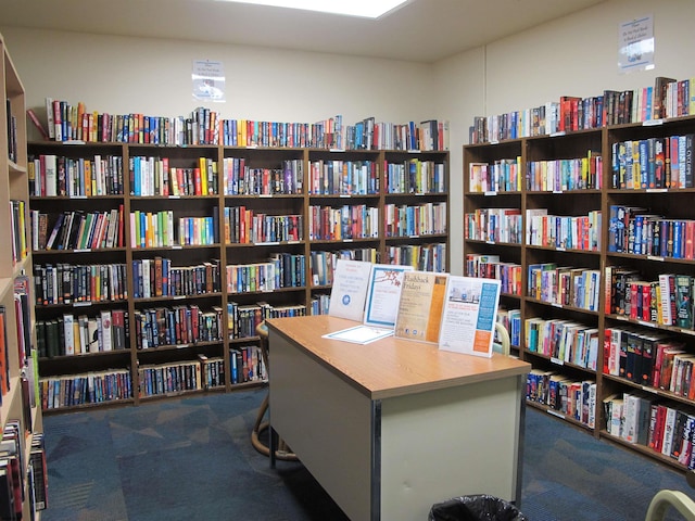 view of carpeted home office