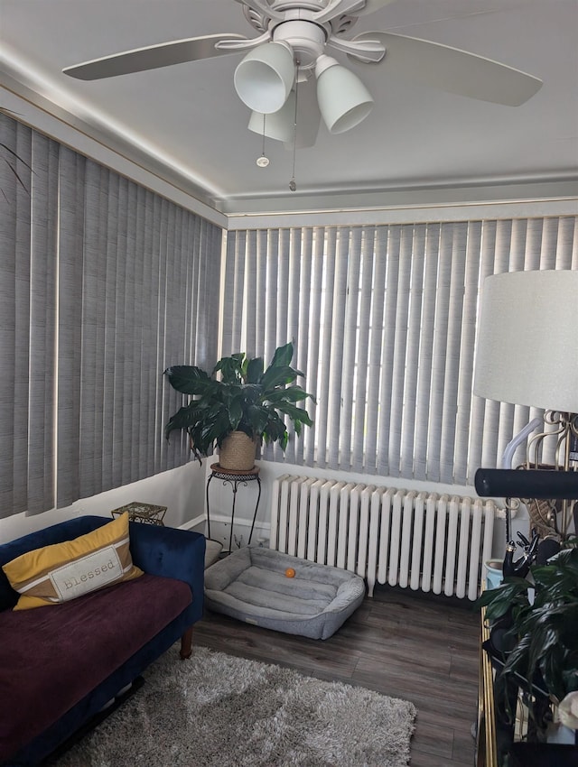 sitting room with ceiling fan, dark hardwood / wood-style floors, and radiator