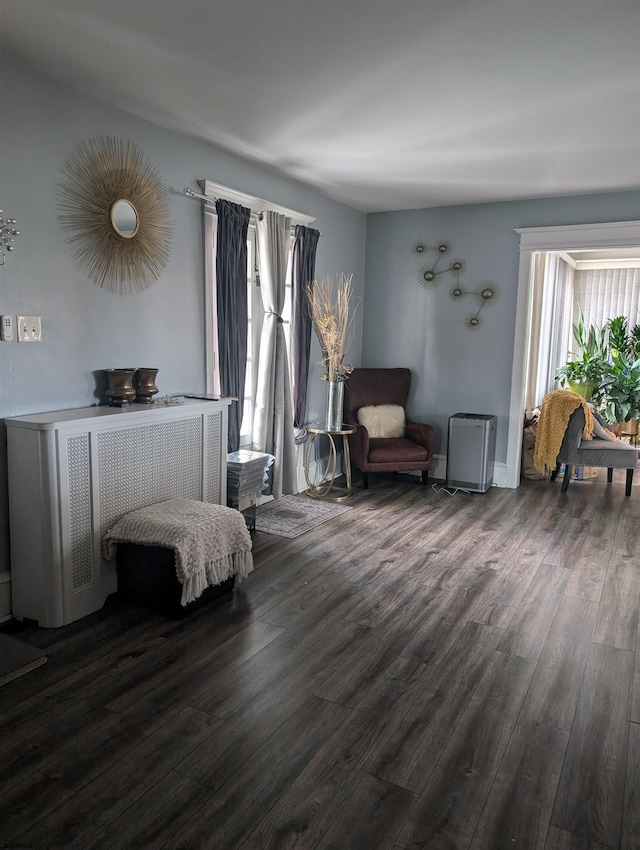 living area with radiator heating unit and dark hardwood / wood-style flooring