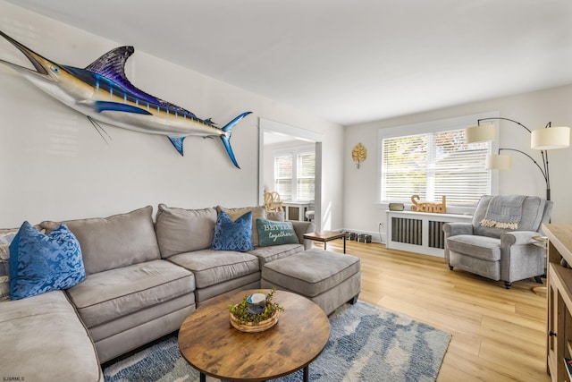 living room with hardwood / wood-style flooring