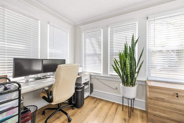 home office featuring a wealth of natural light, light hardwood / wood-style flooring, and crown molding