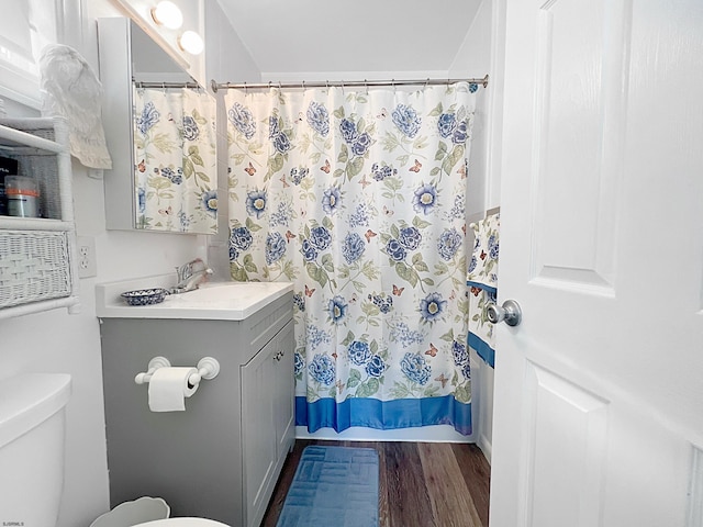 bathroom featuring a shower with curtain, hardwood / wood-style floors, vanity, and toilet