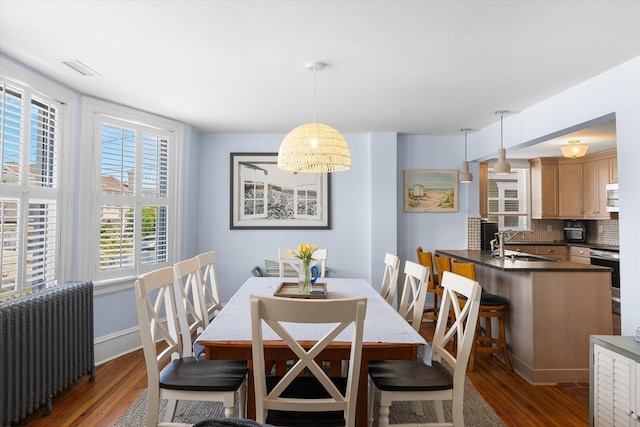 dining space featuring dark hardwood / wood-style flooring, radiator heating unit, and sink