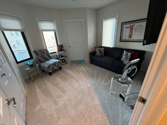 living room with carpet flooring and plenty of natural light