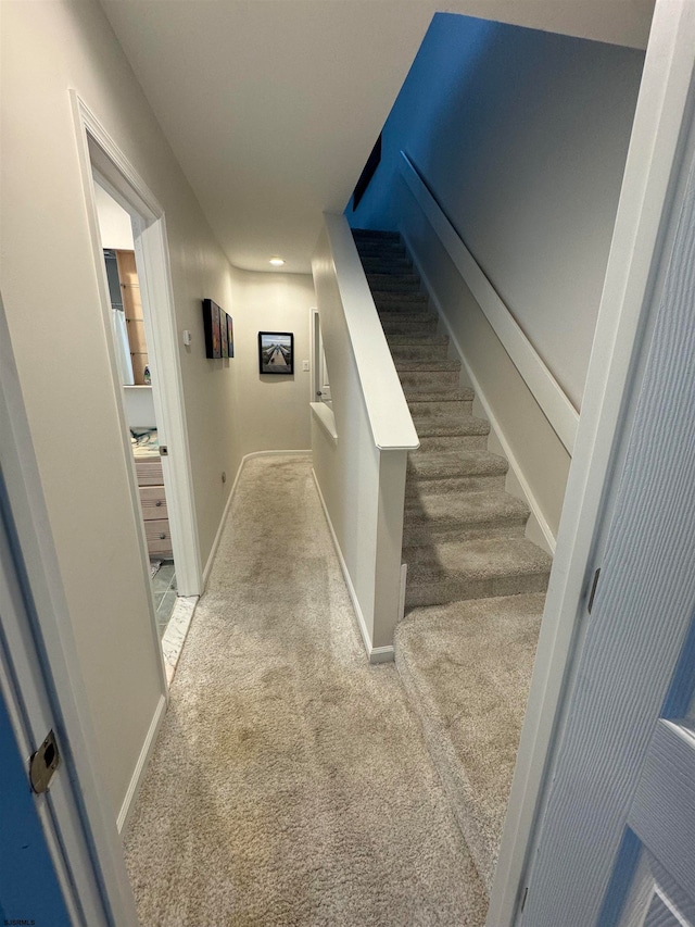 stairs with carpet floors