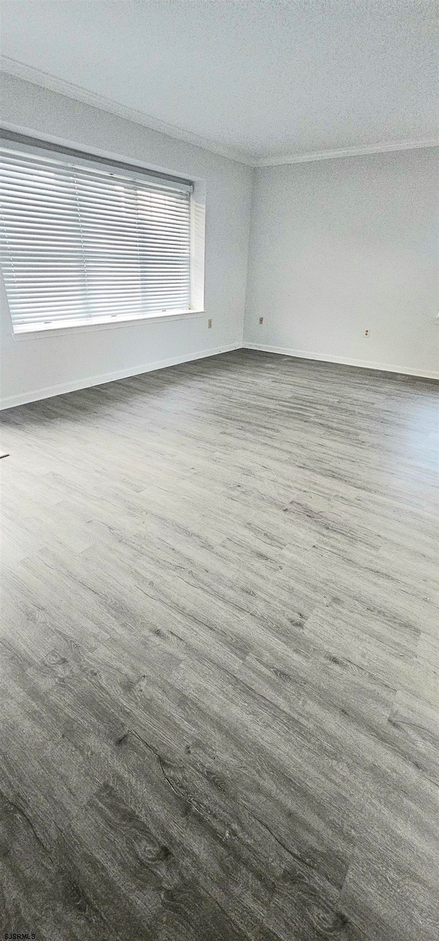 unfurnished room featuring dark hardwood / wood-style floors and a textured ceiling