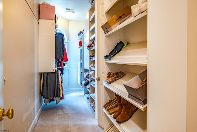 spacious closet with light colored carpet