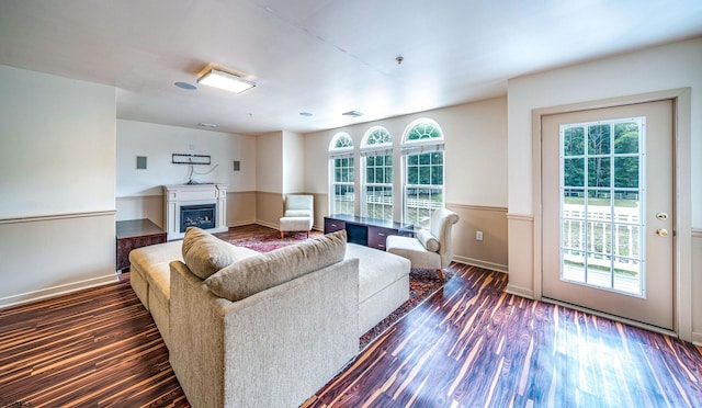 living room with dark hardwood / wood-style flooring