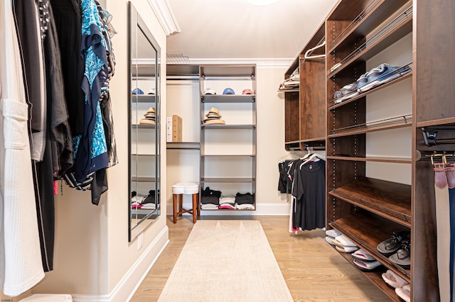 spacious closet featuring light hardwood / wood-style floors