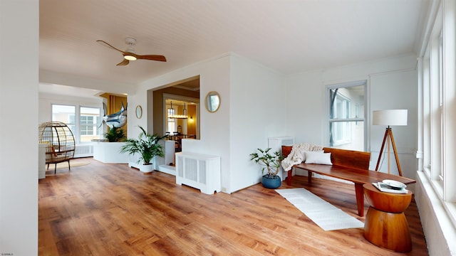 living area featuring hardwood / wood-style floors, ceiling fan, and radiator