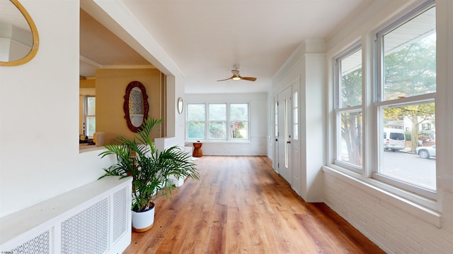 corridor featuring radiator heating unit, light wood-type flooring, crown molding, and a healthy amount of sunlight