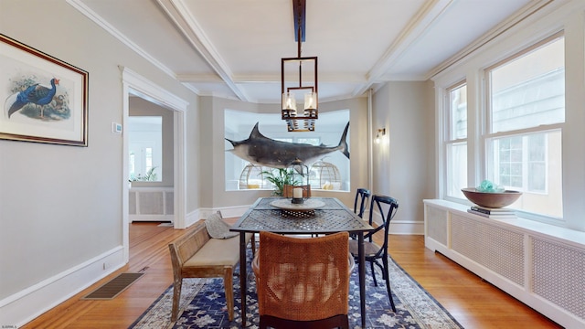 dining room with plenty of natural light, light hardwood / wood-style floors, radiator, and a chandelier