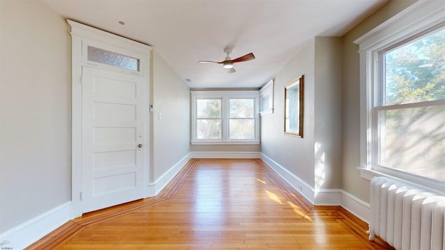 interior space with ceiling fan, radiator heating unit, light hardwood / wood-style floors, and plenty of natural light