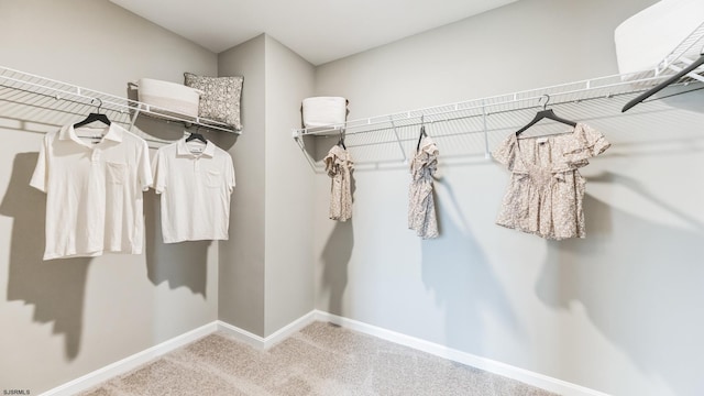 walk in closet with carpet floors