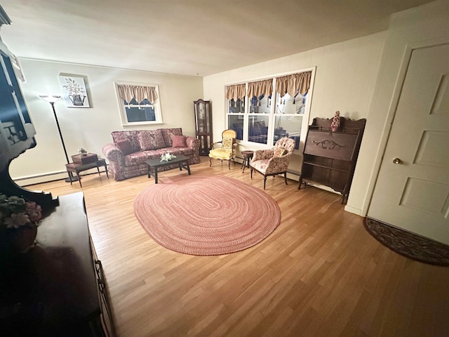 living room featuring wood-type flooring