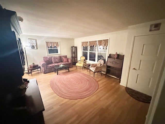 living room with hardwood / wood-style floors