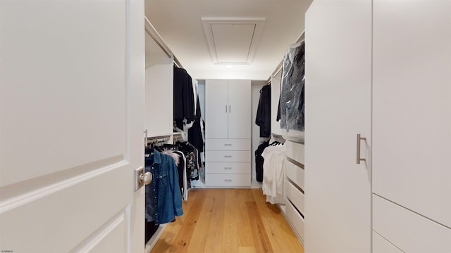 spacious closet with light wood-type flooring