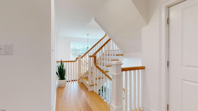 stairs with wood-type flooring