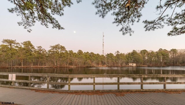 dock area with a water view