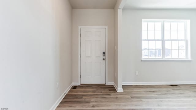 foyer entrance with wood-type flooring