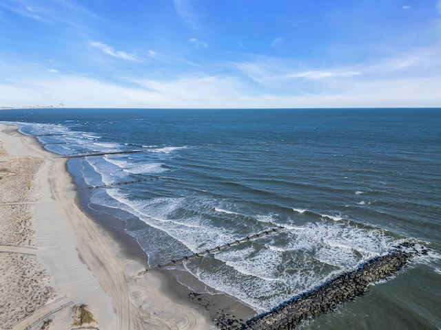 water view featuring a beach view