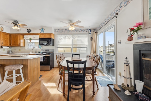 dining space featuring sink, ceiling fan, and light wood-type flooring