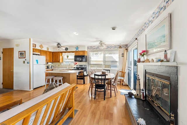 dining room with ceiling fan and light wood-type flooring