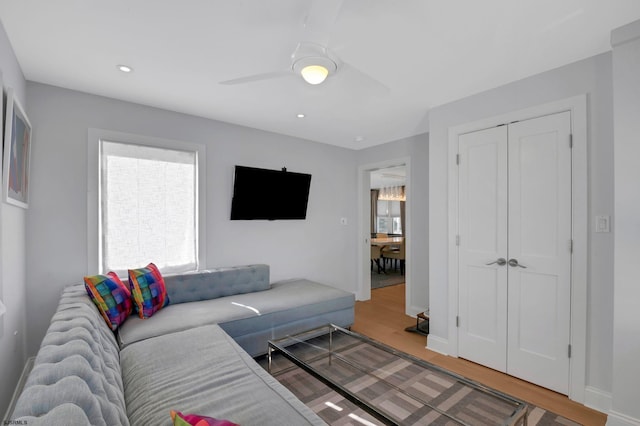 living room with ceiling fan and wood-type flooring