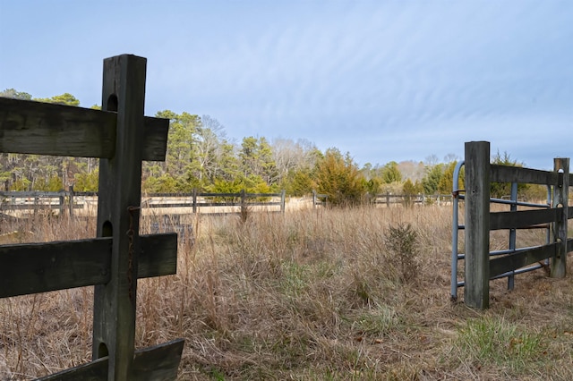 view of yard featuring a rural view