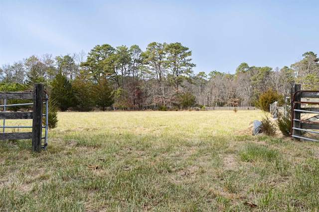 view of yard with a rural view