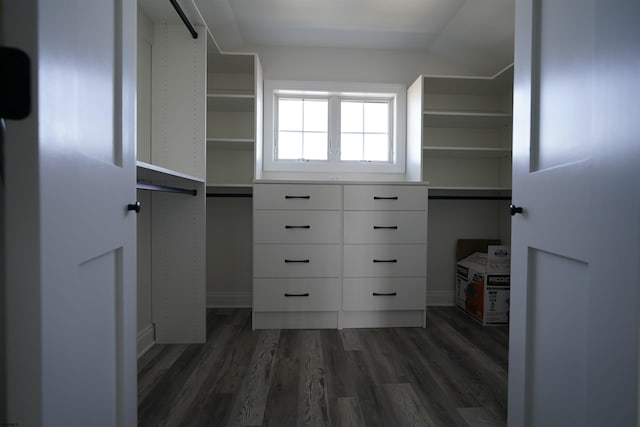 walk in closet with dark hardwood / wood-style flooring