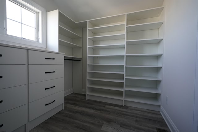 walk in closet with dark hardwood / wood-style floors