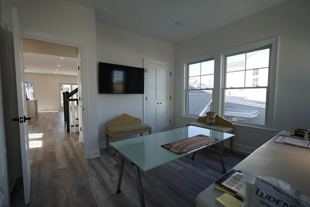 dining room featuring dark wood-type flooring