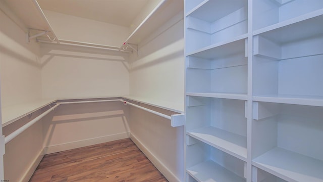 spacious closet with hardwood / wood-style flooring