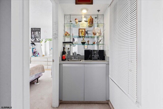 bar with light colored carpet and sink