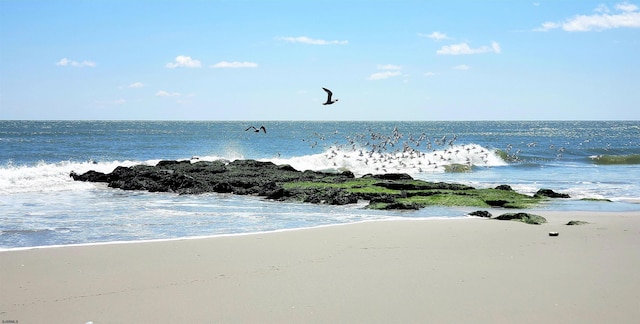 view of water feature with a view of the beach