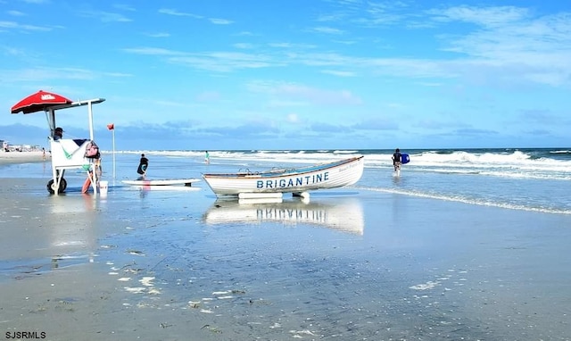 water view featuring a beach view