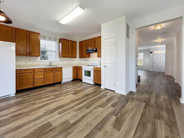 kitchen with dark hardwood / wood-style flooring, sink, and white appliances