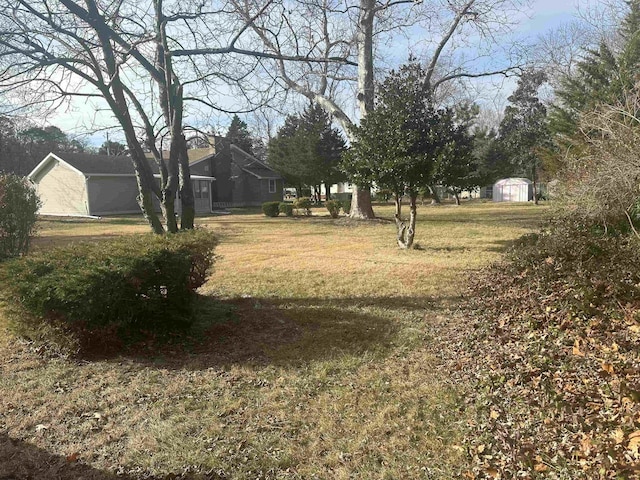 view of yard with a storage unit