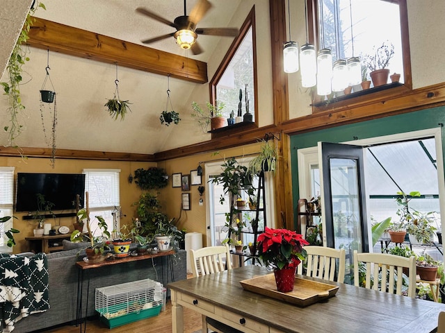 dining area with high vaulted ceiling, a wealth of natural light, and ceiling fan