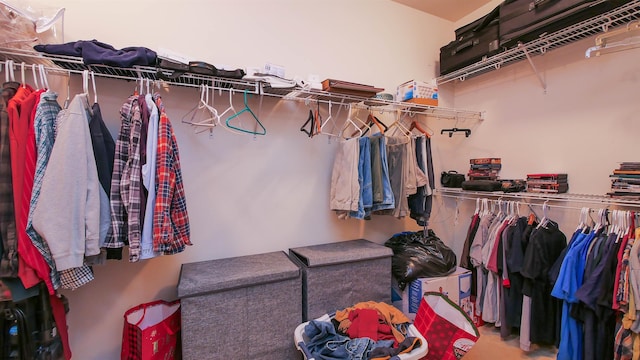 view of spacious closet