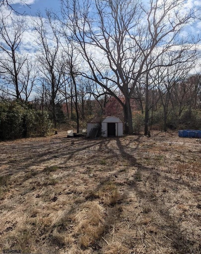 view of yard with a storage unit