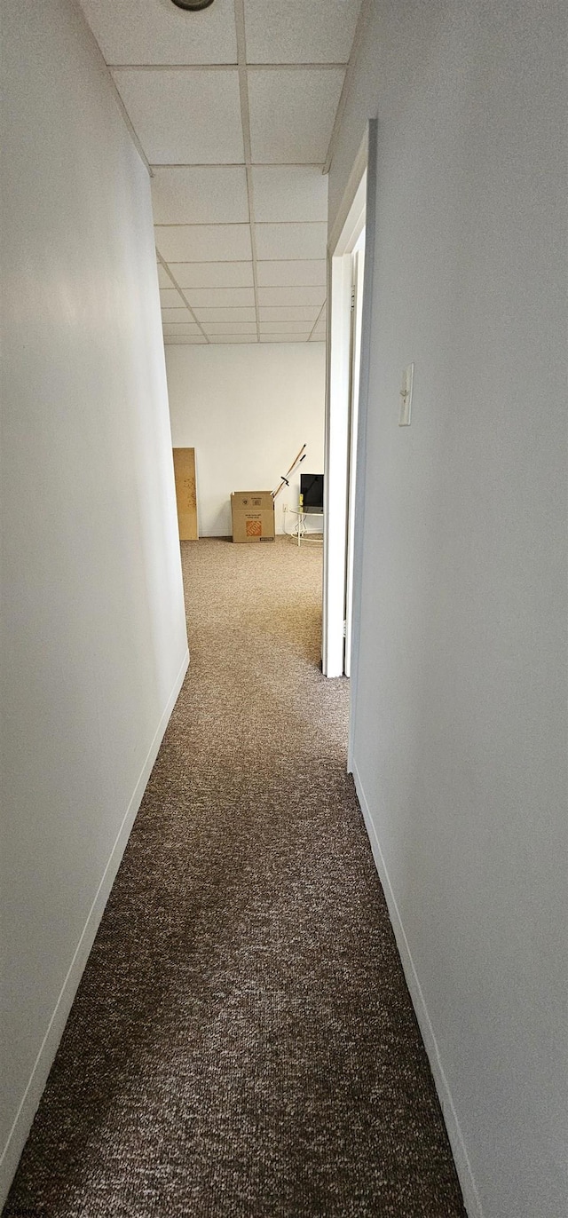 corridor with a drop ceiling and carpet floors