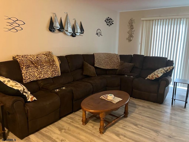 living room featuring light hardwood / wood-style floors