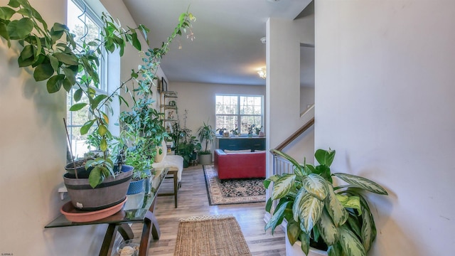 interior space featuring hardwood / wood-style floors