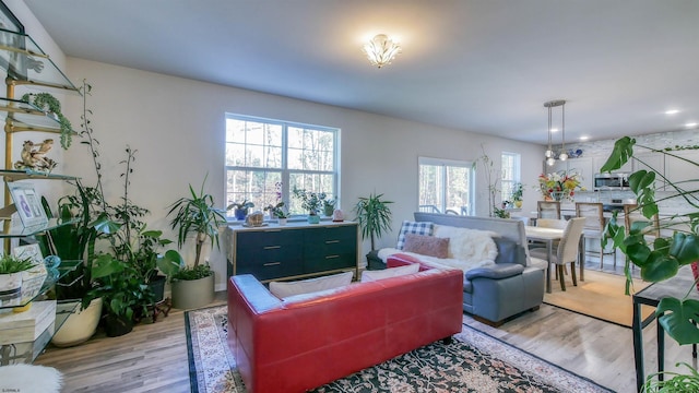 living room with plenty of natural light and light wood-type flooring