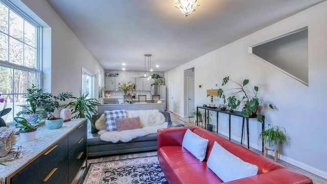 living room with wood-type flooring